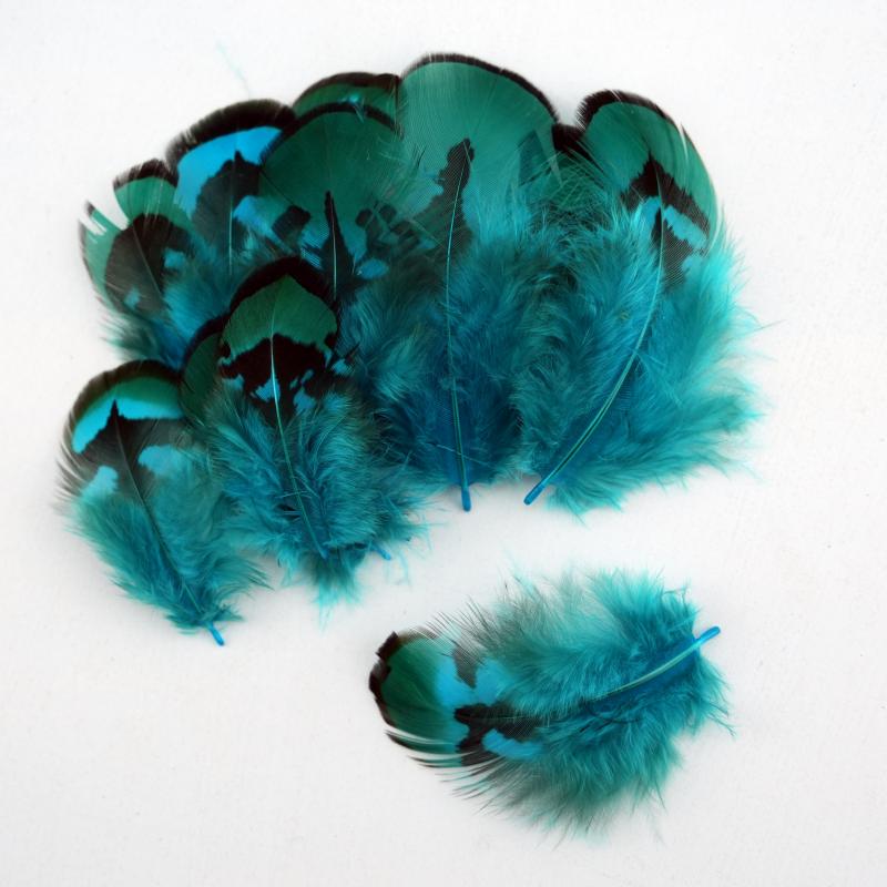 Wedding Supply Bulk - Natural DIY Pheasant Feathers Lake Blue