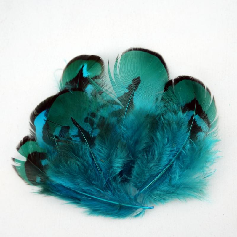 Natural DIY Pheasant Feathers  - đánh giá và giá Wedding Supply Bulk