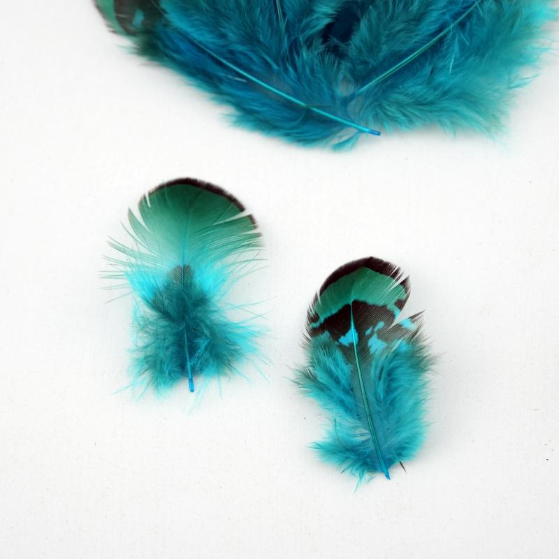 Natural DIY Pheasant Feathers  - đánh giá và giá Wedding Supply Bulk