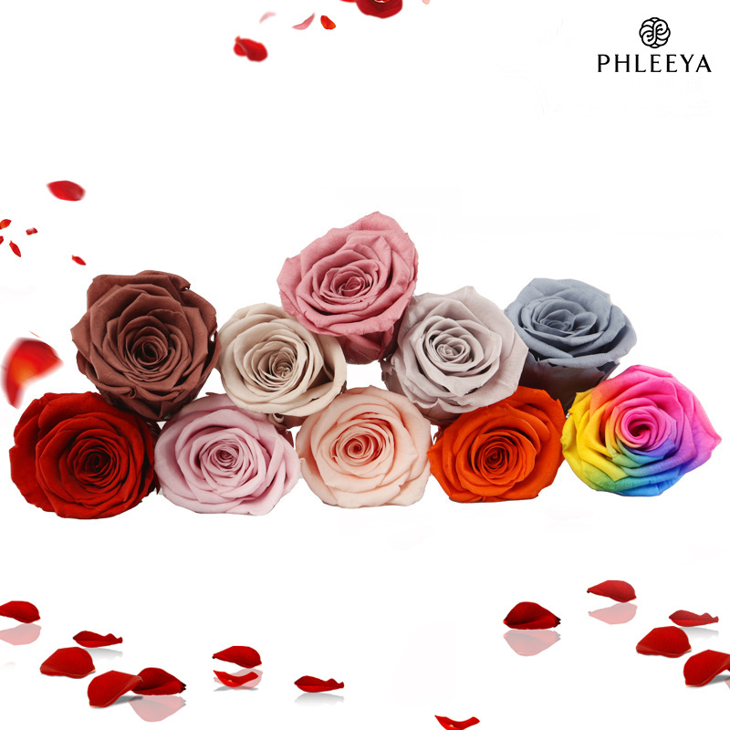 6pcs Eternal Rose Flower Heads - đánh giá và giá Wedding Supply Bulk